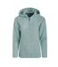Womens/ladies alisa snow fleece quarter zip hoodie mineral blue marl Weird Fish-1