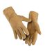 Eastern Counties Leather Womens/Ladies Long Cuff Sheepskin Gloves (Tan) (L)