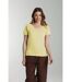 Tee shirt col v manches courtes femme Maddy Popcorn| Gerard Pasquier-1
