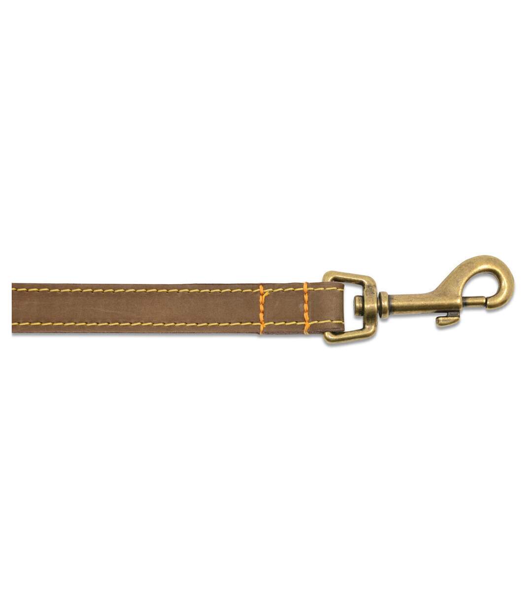 Timberwolf leather dog slip lead 1m x 19mm sable Ancol-3