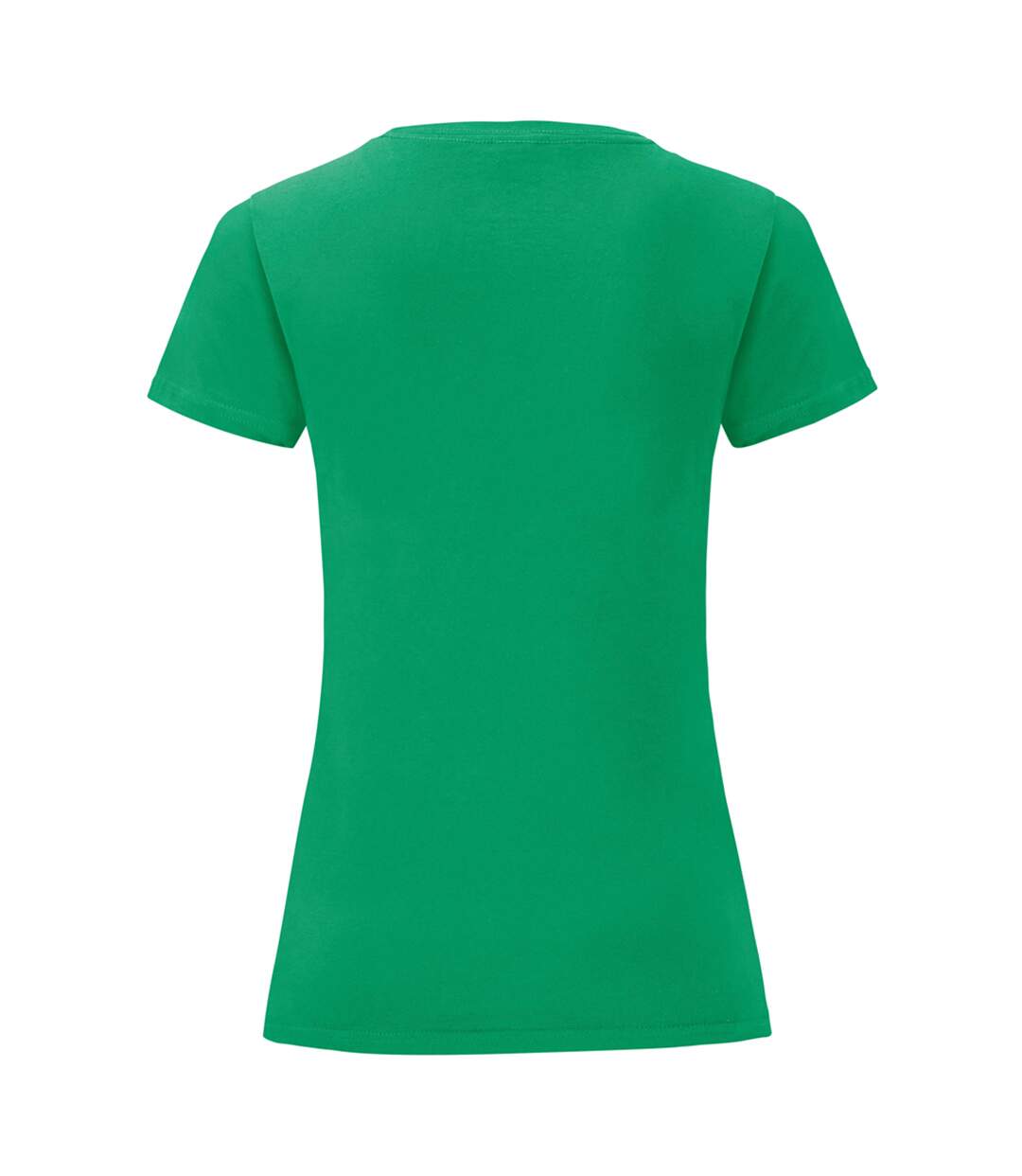 Fruit Of The Loom Womens/Ladies Iconic T-Shirt (Kelly Green) - UTPC3400-2