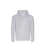 Veste À Capuche Adulte Gris Chiné Awdis-1