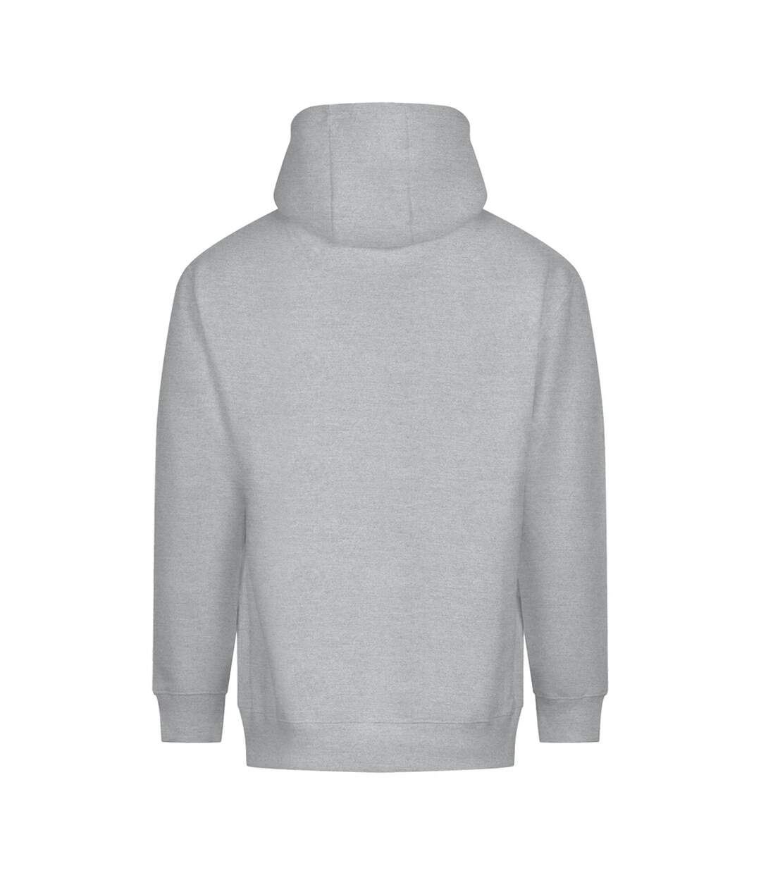 Sweat À Capuche Vision Adulte Gris Chiné Awdis-2