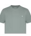 T-shirt Motif/style Logo Sandleford Homme Sauge Argenté Jack Wills-3