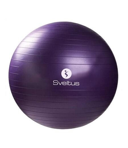 Ballon de gymnastique sveltus violet 55 cm