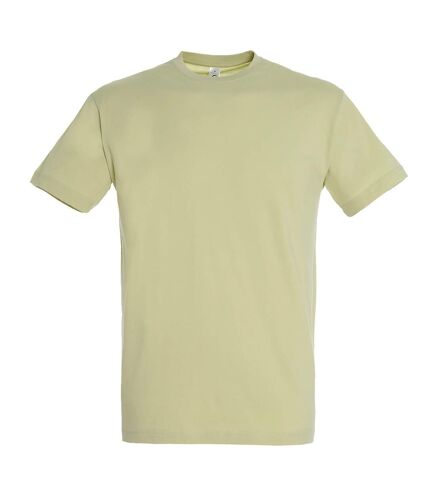 SOLS Mens Regent Short Sleeve T-Shirt (Green Sage) - UTPC288