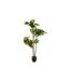 Plante Artificielle Schefflera 135cm Vert & Noir