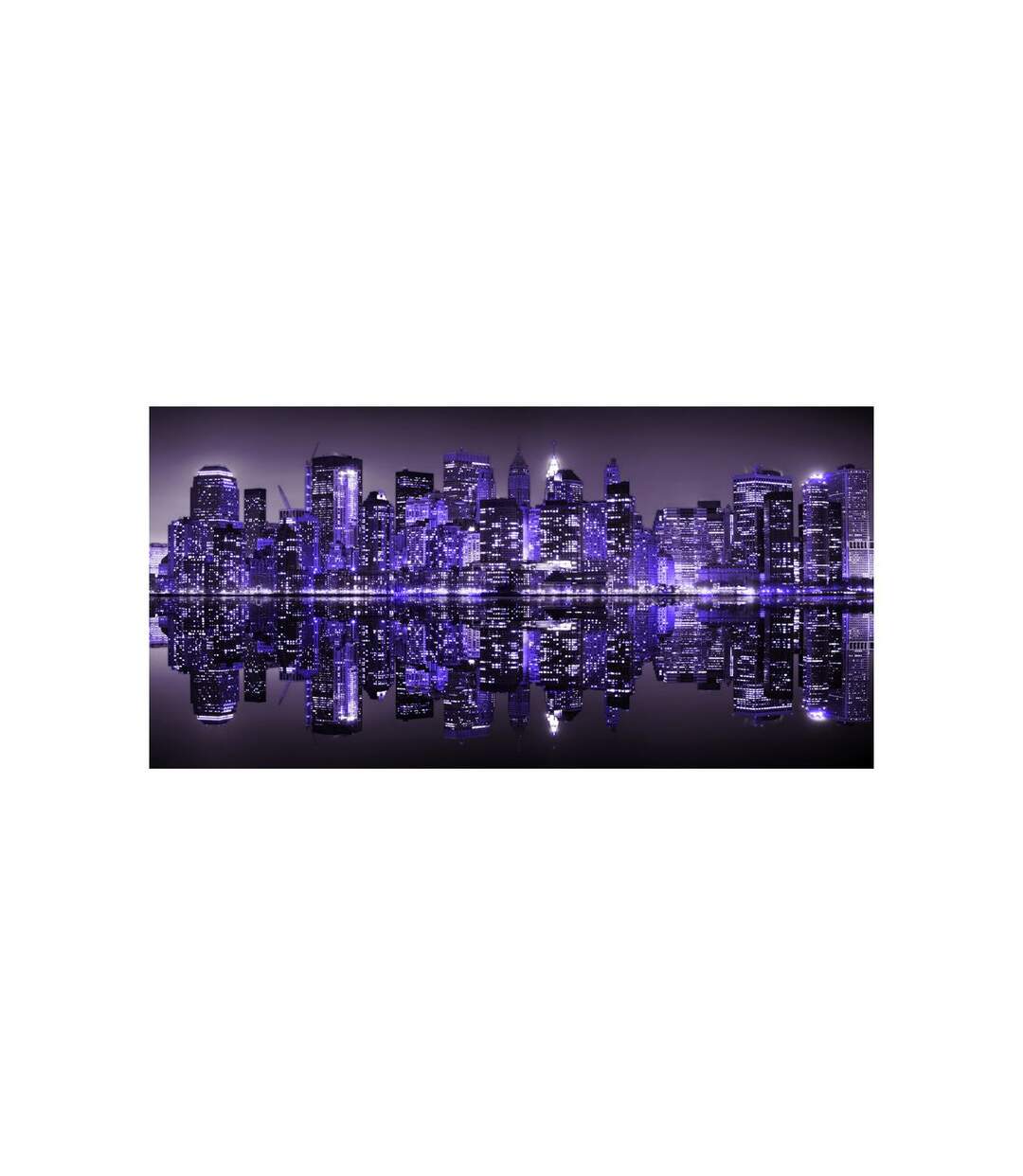 Papier Peint XXL American Violet 270x550cm-2