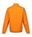 Regatta - Doudoune HILLPACK - Homme (Peau d'orange / Orange brûlé) - UTRG6350