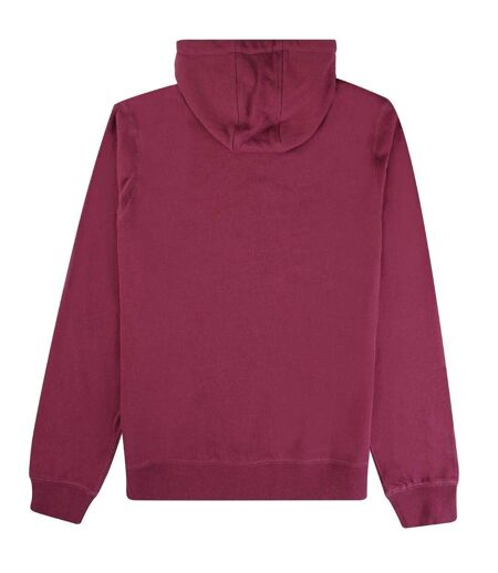 Sweat À Capuche Motif Gros Logo Active Homme Bordeaux Aquascutum