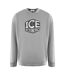 Sweat Motif Logo Homme Gris Ice Iceberg-1