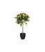 Plante Artificielle en Pot Oranger 62cm Vert & Noir