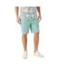 Maine Mens Premium Chino Shorts (Light Green) - UTDH5667