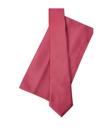 Mens textured tie & pocket square set one size berry Burton