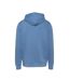 Sweat à capuche bleu homme tommy hilfiger linear logo - l-3