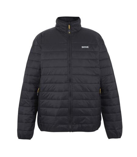Veste 3-en-1 Wentwood Homme Cendre Noir Regatta