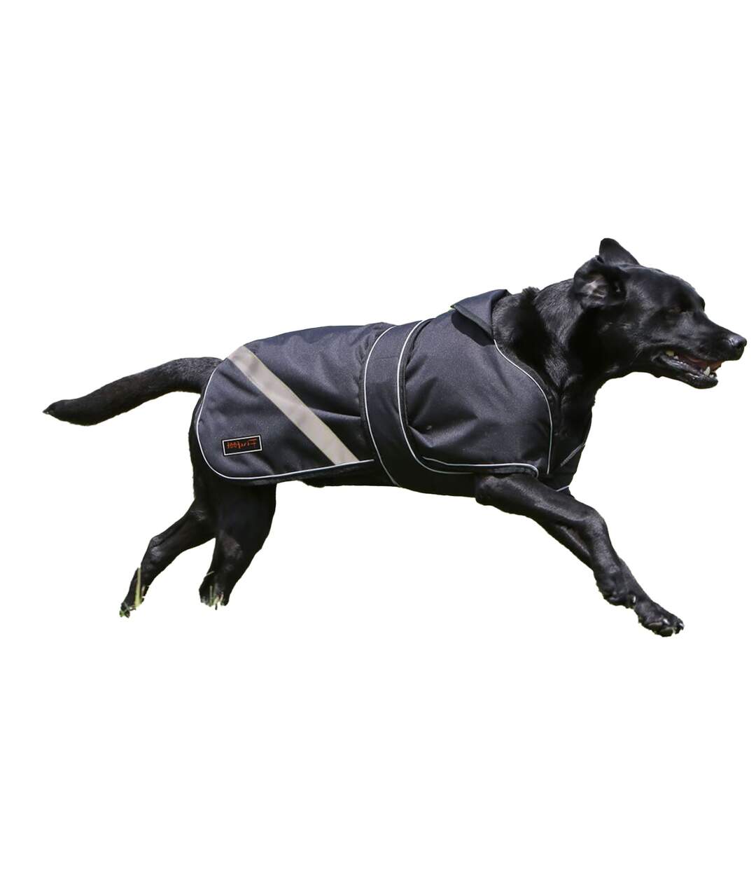 2 in 1 waterproof reflective dog coat 46cm black Firefoot-1