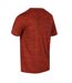 T-shirt fingal edition homme marron Regatta-1