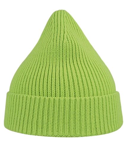 Atlantis Unisex Adult Andy Recycled Polyester Beanie (Acid Green) - UTAB559