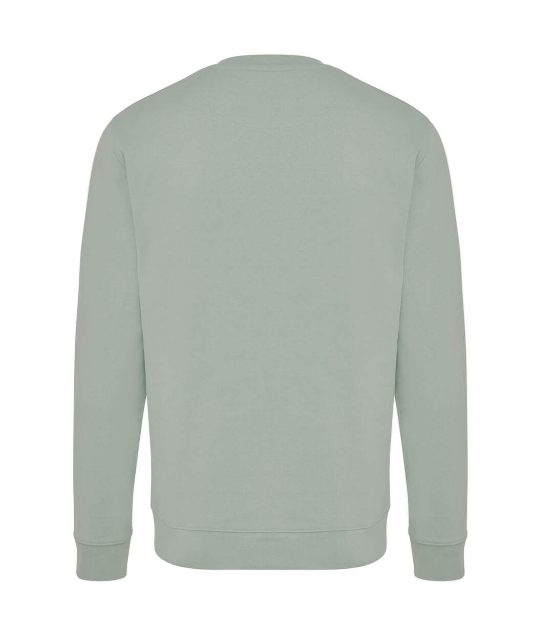 Unisex adult zion recycled cotton crew neck sweatshirt green iceberg Iqoniq-2