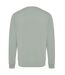 Unisex adult zion recycled cotton crew neck sweatshirt green iceberg Iqoniq-2