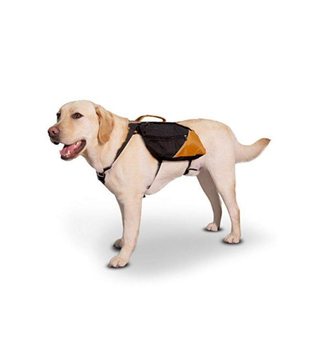 Big baxter dog backpack 22kg 50kg black/orange Kurgo-4