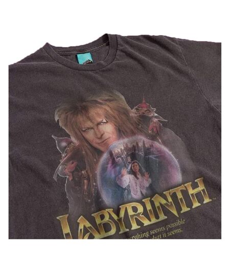 T-shirt Motif Jareth Le Roi Des Gobelins Motif/style Boule De Cristal Adulte Noir Charbon Labyrinth
