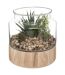 Terrarium en Verre & Bois Brito 17cm Transparent-1