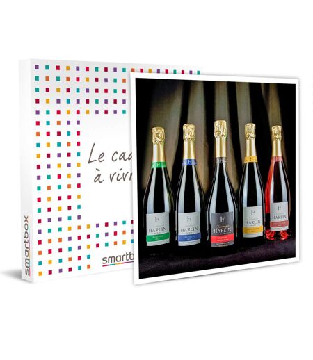 SMARTBOX - Dégustation de champagne et visite de domaine dans la Marne - Coffret Cadeau Gastronomie