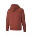 Sweat Rouge Foncé Homme Puma Fd Rad - S