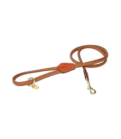 Rolled leather dog lead one size tan Digby & Fox