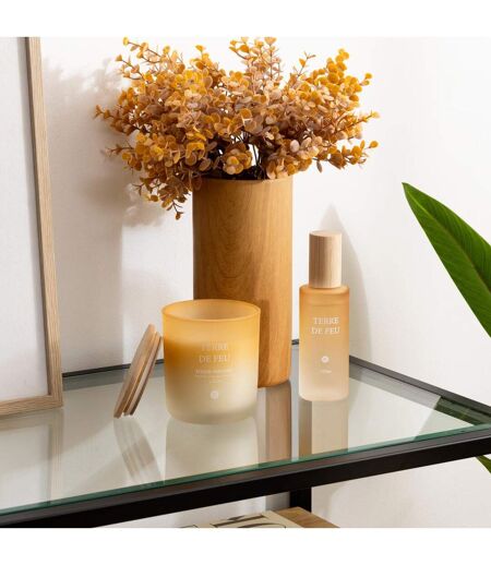 Bougie Parfumée en Verre Sana 255g Terre de Feu