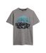 Tee shirt Superdry Great Outdoors Graphic