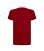 Polo Homme Rouge Écarlate British & Irish Lions-2