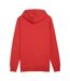 Sweat À Capuche Essentials Homme Rouge Puma-3