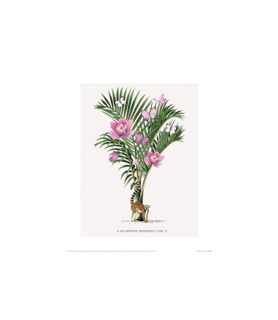 Summer Thornton - Poster LEMUR PALM (Vert / Rose) (40 cm x 50 cm) - UTPM4604
