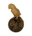 Statuette Perroquet en Résine Belli 19cm Doré-1