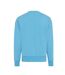 Unisex adult kruger recycled cotton crew neck relaxed fit sweatshirt tranquil blue Iqoniq-2