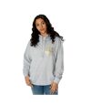 Harry Potter Unisex Adult Zodiac Hufflepuff Hoodie (Grey Marl)