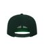 Unisex Adult Classic Snapback Cap Spruce Flexfit-3