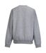 Sweat-shirt Authentique Pour Hommes Coupe Plus Fine Gris Clair Russell-2
