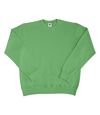 SG - Sweatshirt - Homme (Vert) - UTBC1066