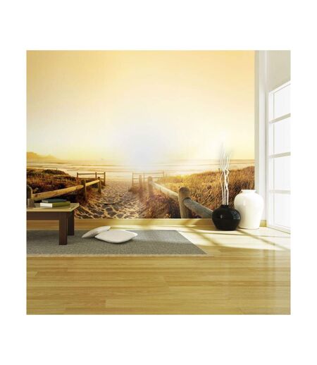 Papier Peint Chemin Vers le Soleil... II 450x270cm