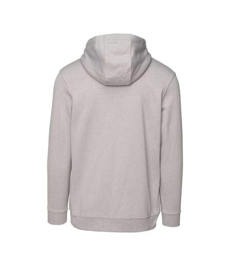 Veste À Capuche Ricona Homme Gris Iguana