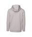 Veste À Capuche Ricona Homme Gris Iguana-3