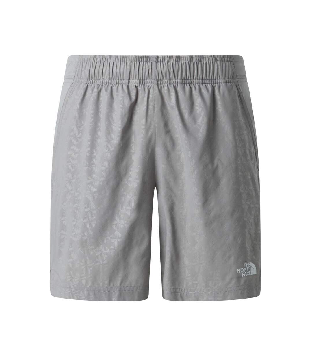 Short Motif/style À Motifs 24/7 Pentdome Homme Gris The North Face-1