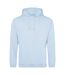 Sweat À Capuche College Adulte Bleu Ciel Awdis-1