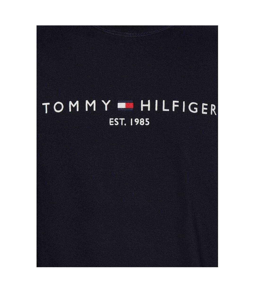 Mens Established Crew Neck Regular Sweatshirt Sky Blue Tommy Hilfiger-3