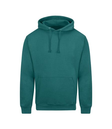Unisex Adult College Hoodie Teal Awdis