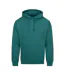 Unisex Adult College Hoodie Teal Awdis-1